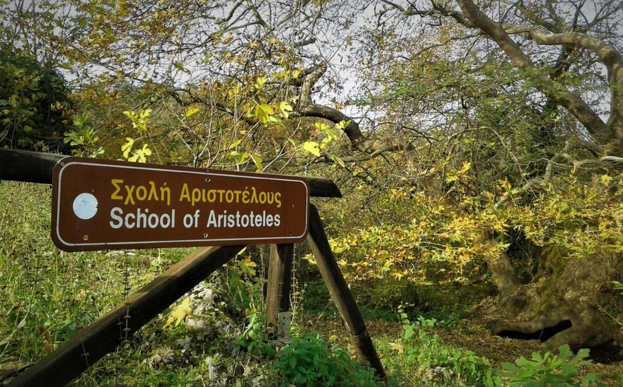 Mylos Arkochorion 外观 照片